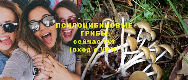 прущая мука Остров