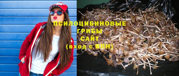 прущая мука Остров