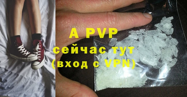 индика Пролетарск