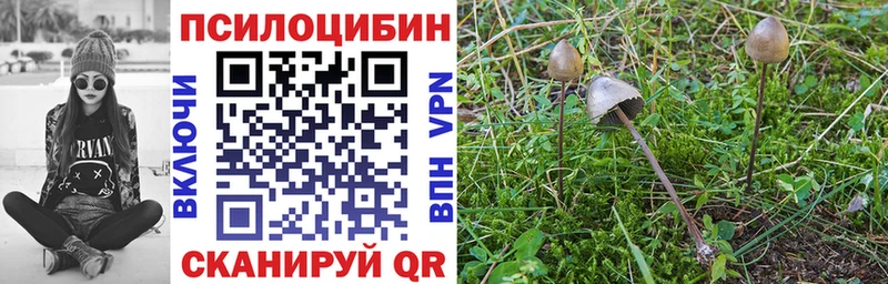 Галлюциногенные грибы Cubensis  Кушва 