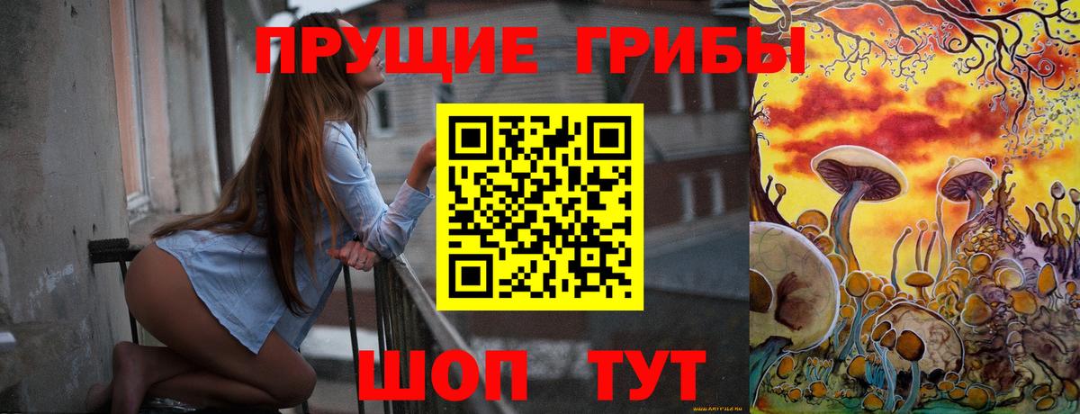 Псилоцибиновые грибы Cubensis  Вход с VPN  Кушва 
